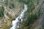 PICTURES/Tumalo Falls/t_River5.JPG